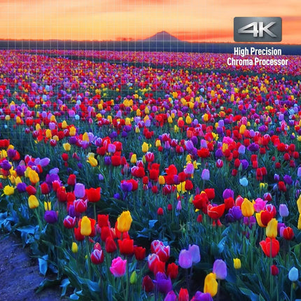 Panasonic DPUB820K Ultra HD Blu-ray Player with Dolby Vision, Hi-Res Audio, Voice Assist, Black