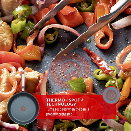 T-fal Unlimited Platinum Cookware, 5QT Jumbo Cooker, E1048264